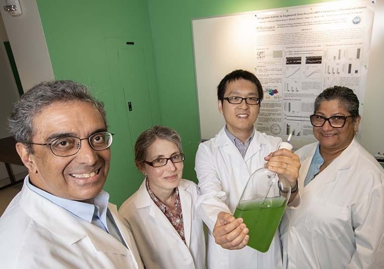 Creating fertilizer out of thin air with engineered bacteria