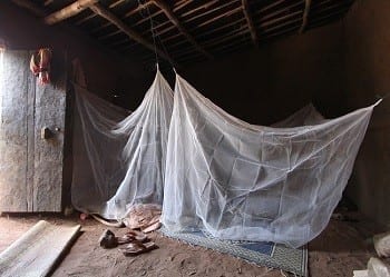 Malaria has a new type of bed net to help protect millions