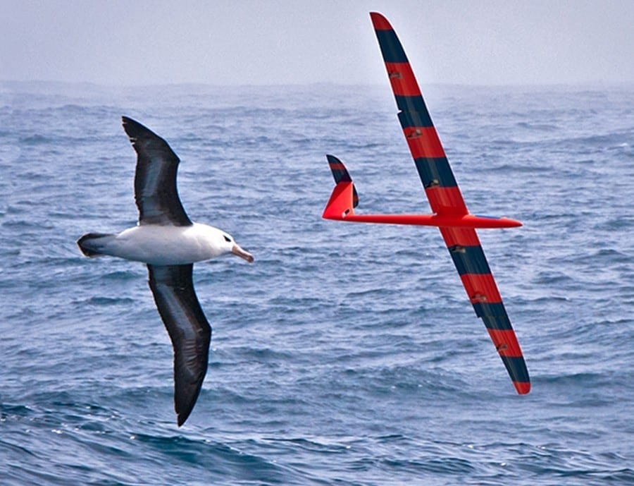 Training robotic gliders to soar like birds using artificial intelligence