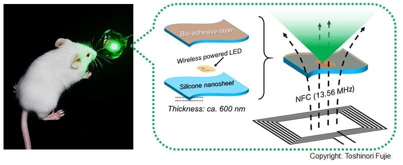 Using light to kill cancer cells with a wirelessly-powered implant