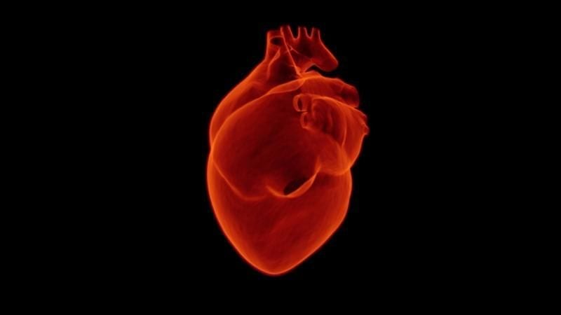 AI can predict heart disease deaths better than doctors