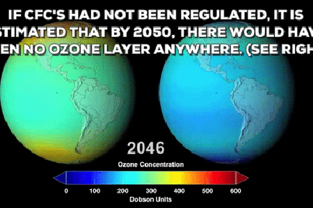 Findings could make a major contribution to protecting the endangered ozone layer