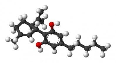 Cannabidiol is effective in eliminating the symptoms of depression on the same day - in rats