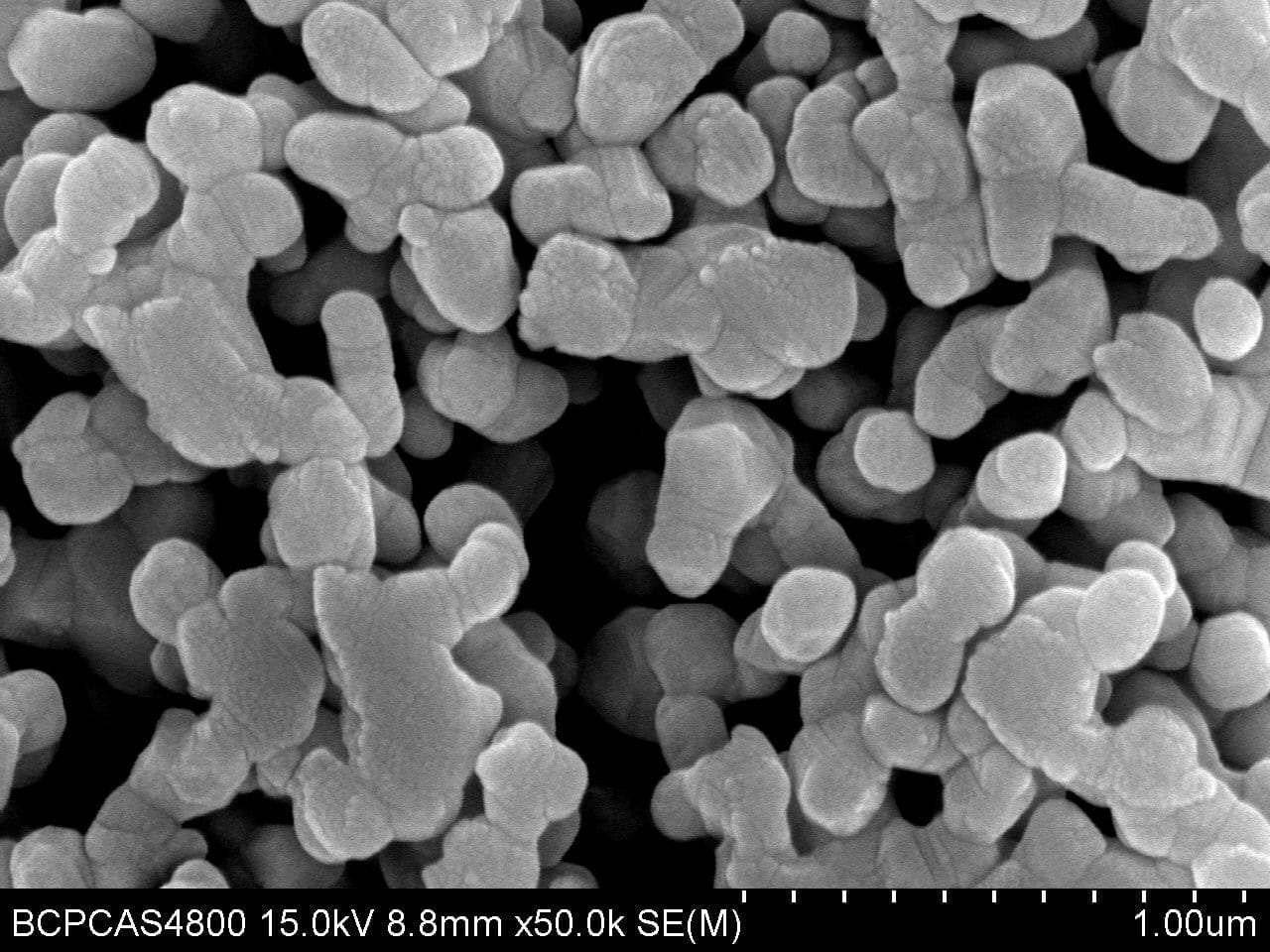 Study concludes that silver nanoparticles are toxic for aquatic organisms