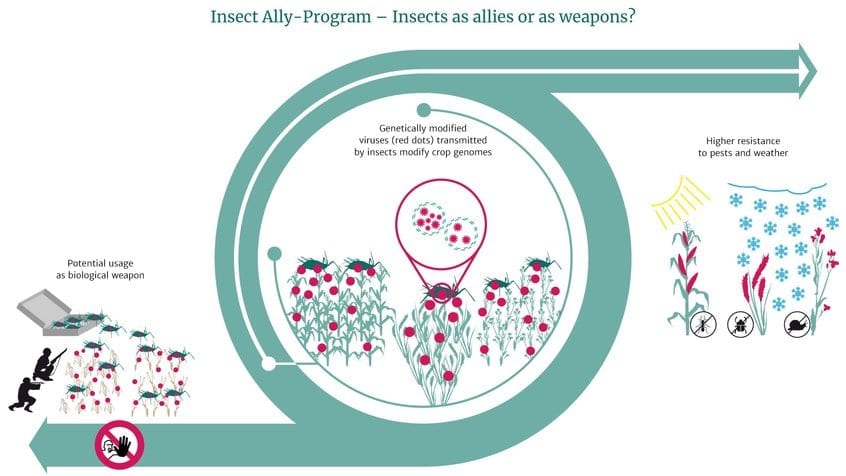 What about using insects for biological warfare?