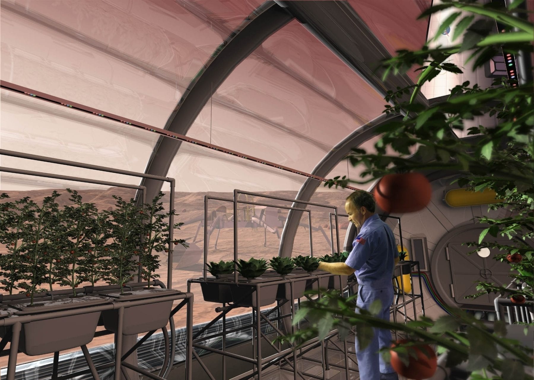 The plant hormone strigolactone could make space farming possible