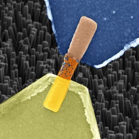 Artificial synapses made from nanowires function in much the same way as a biological nerve cell