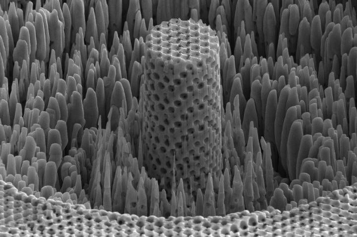 Metallic wood made from nickel is as strong as titanium but four to five times lighter