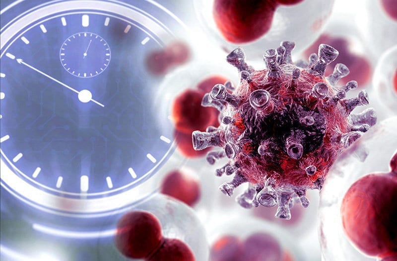 A new drug shows potential to halt cancer cells growth by stunting the cells biological clock