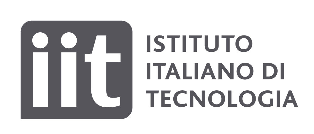 Italian Institute of Technology (IIT)