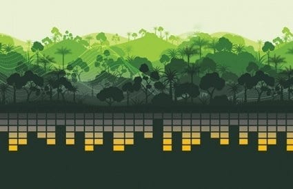 Recordings of the sounds in tropical forests could unlock secrets about biodiversity and aid conservation efforts around the world