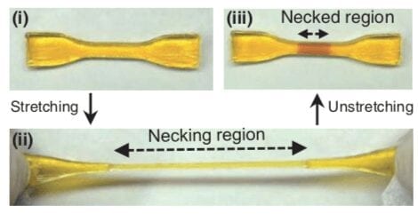 New material becomes stronger in response to mechanical stress – mimicking skeletal muscle growth