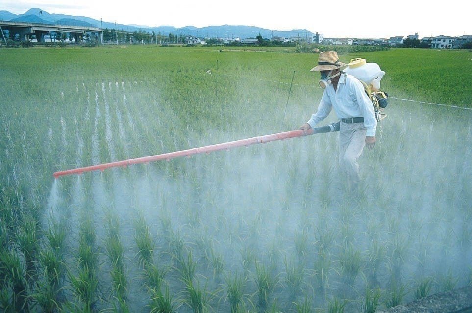 Using genetic engineering to repurpose a strain of beneficial bacteria for use as a safe, sustainable alternative to chemical pesticides