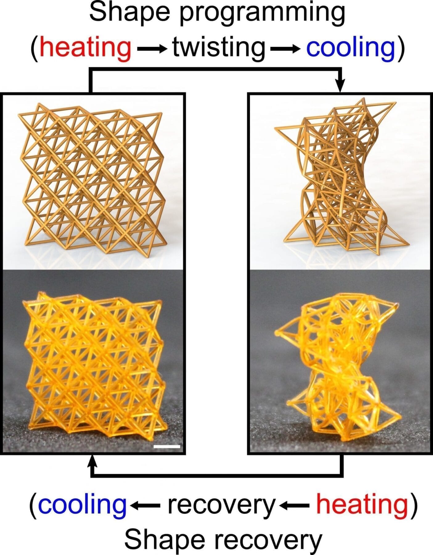 4D printed shape programming materials can be as stiff as wood or as soft as a sponge