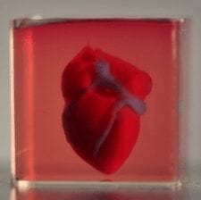 Researchers have printed the world's first 3D vascularised engineered heart using a patient's own cells and biological materials