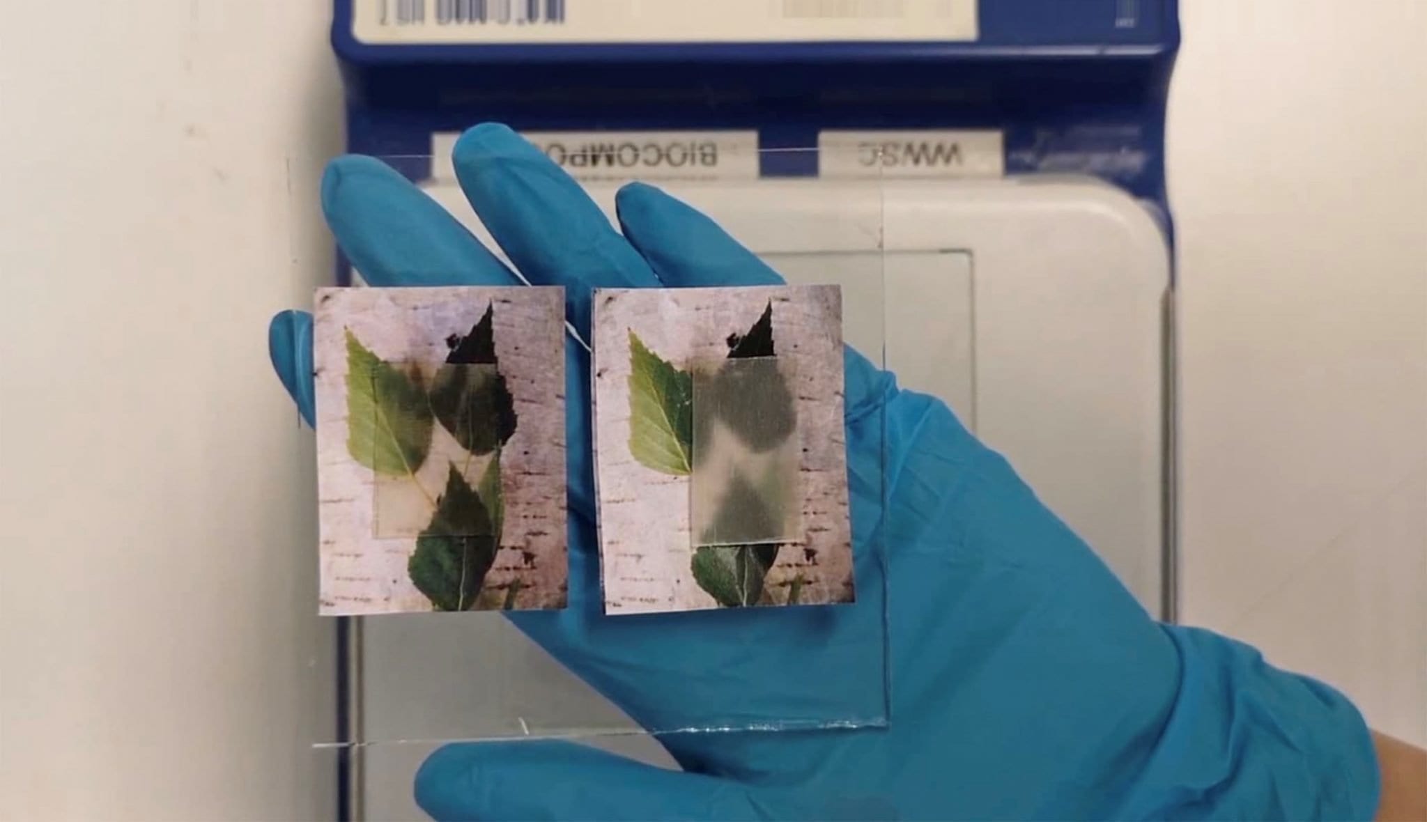 A new kind of transparent wood that not only transmits light but also absorbs and releases heat