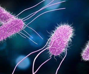 Weakening the defenses of antibiotic resistance