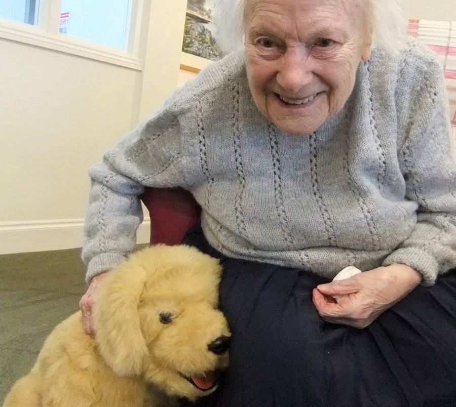 Robotic pets that respond to human interaction can benefit the health and wellbeing of older people living in care homes