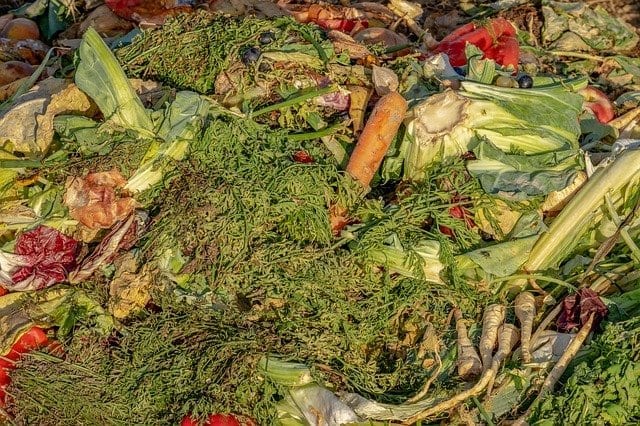 Wasted food can be affordably turned into a clean substitute for fossil fuels.