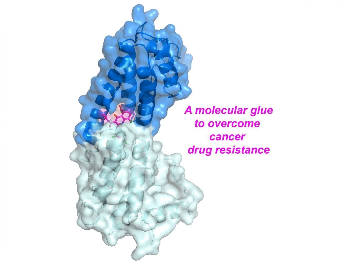 A new small molecule drug could overcome cancer drug resistance