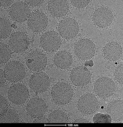 Using sensory nanoparticles to detect disease