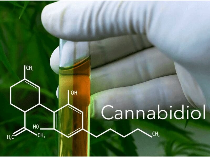 How's this for a powerful new antibiotic: Cannabidiol?