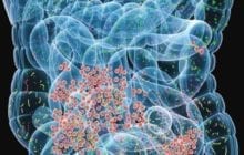Remodeling gut microbiomes to fight disease