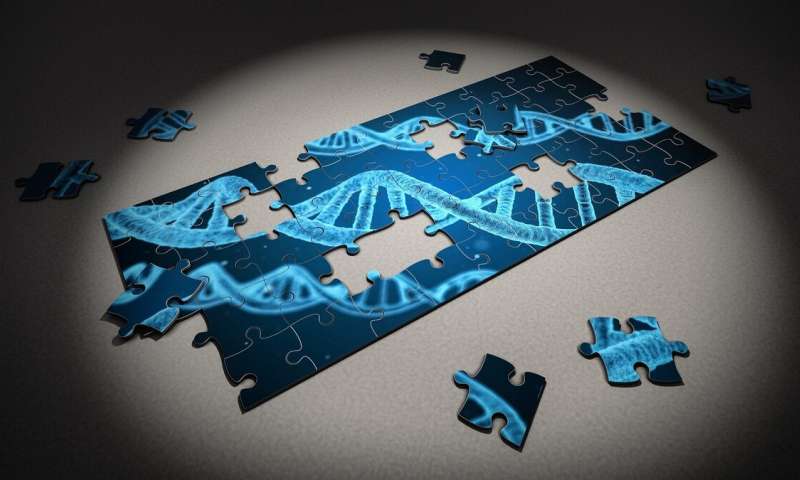 New computational method could help diagnose and rectify a genetic defect with gene-editing tools