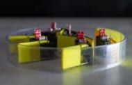 Robots built entirely from smaller robots known as smarticles