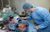 Tripling the storage time of human donor livers is really going to help