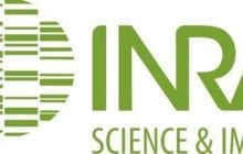National Institute of Agronomic Research (INRA)