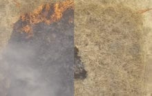 A gel-like fluid to help prevent wildfires
