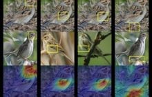 Deep learning shows its thinking by explaining the reasoning behind its predictions