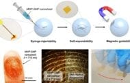 New minimally-invasive implants for diagnosis, therapy and regenerative medicine