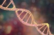 New gene correction therapy for Duchenne muscular dystrophy