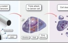 Multifunctional iron nanowires selectively obliterate cancer cells