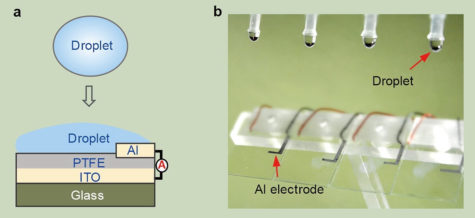 Fig a is the schematic diagram of DEG: an ITO glass slide is coated with a thin film of PTFE and an aluminium electrode is put on top of it. Drops of water act as the gate of the transistor and complete the circuit when they hit the surface of the glass. Fig b is the optical image showing four parallel DEG devices fabricated on the glass substrate.