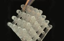 On-demand production of chemicals and medicines using a unique hydrogel platform