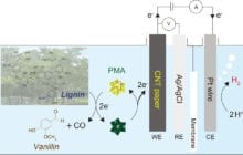 Hydrogen production from biomass