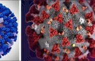 New supercomputer simulations help to design new drugs and vaccines to combat the coronavirus