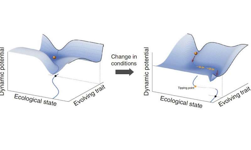 Two evolutionary spaces illustrate how a small change in environmental conditions with few immediate effects opens up a gradual path toward regime change (Figure: Andre de Roos)