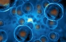 Rejuvenating old human cells with stem cell technology