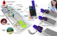 An inexpensive and rapid smartphone-based pathogen testing device