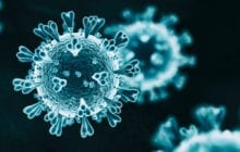 Blocking coronavirus infections using an engineered virus?