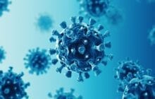 The Corona virus’s ability to change makes it likely that new human coronaviruses will arise
