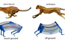 The world's fastest soft robots inspired by cheetahs