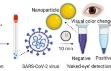 New nanoparticle technique provides “naked eye” visual detection of Covid-19 virus in 10 minutes