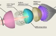 World’s first spherical artificial eye with a 3D retina for robots and humans?
