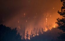 Monitoring the environment and fighting forest fires with a self-powered alarm