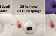 New highly porous sponge selectively soaks up oil while sparing water and wildlife